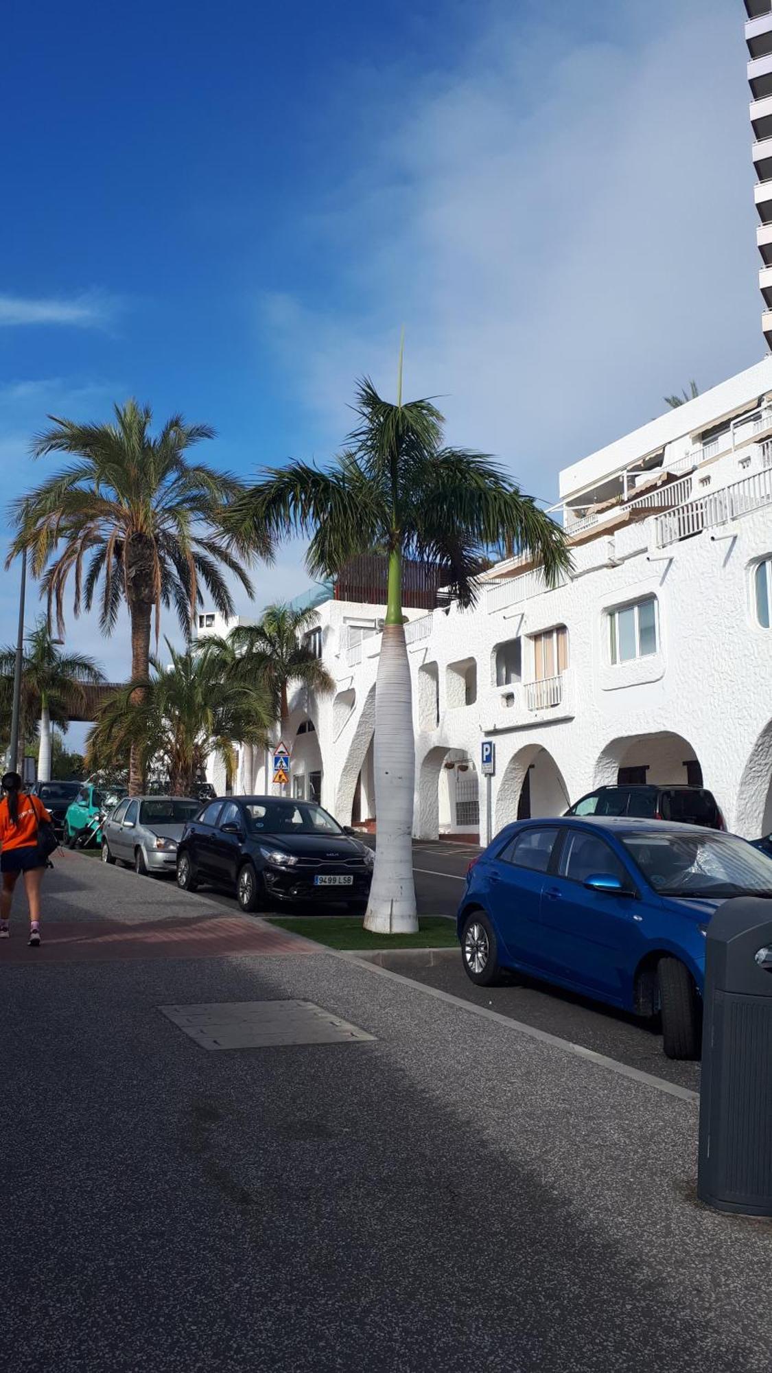 Spectacular View Playa Paraiso Costa Adeje  Εξωτερικό φωτογραφία